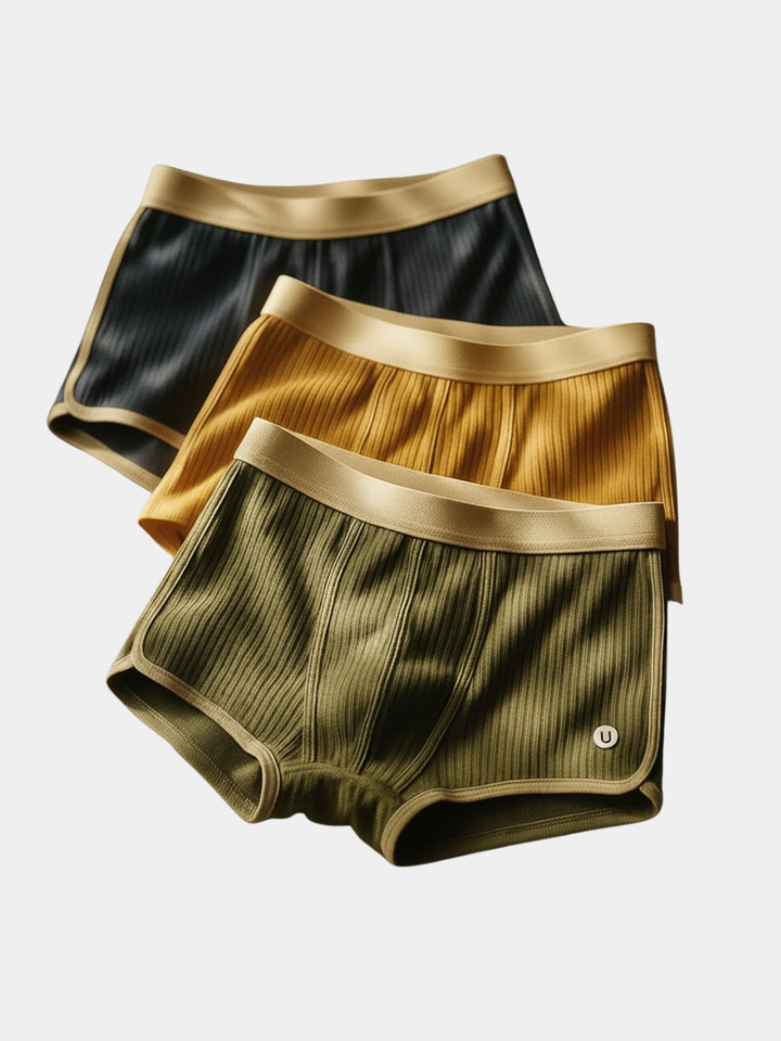 BOXER EN COTON BIOLOGIQUE POUR HOMME (LOT DE 3)
